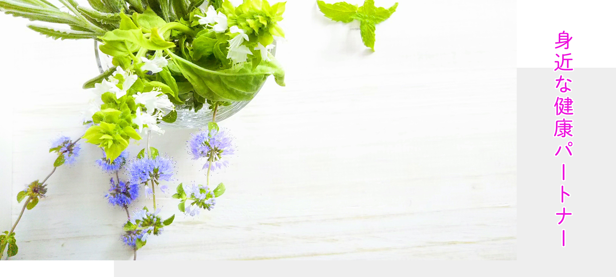 大阪市阿倍野区帝塚山、姫松駅、調剤薬局