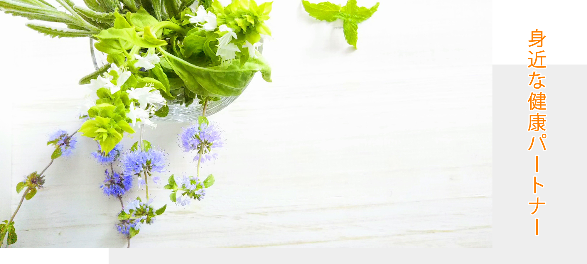 大阪市阿倍野区帝塚山、姫松駅、調剤薬局